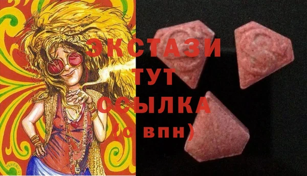 мдпв Абаза