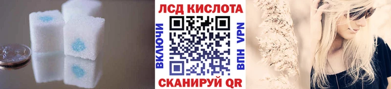 ЛСД экстази кислота  hydra сайт  Пудож 